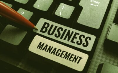 How Business Management Consulting Helps Florida Companies Thrive