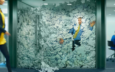 The Journey from Chaos to Cohesion in the IT World