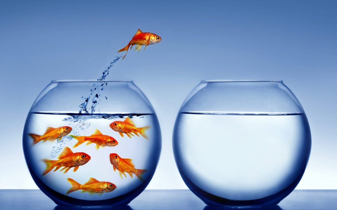 The Cost of Not Evolving: What Our Most Difficult Clients Teach Us.